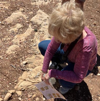 A child learning about fossils