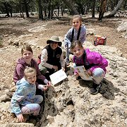 Children hunt for fossils