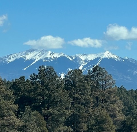 San Francisco 
								Peaks on Grand Canyon tours from Flagstaff